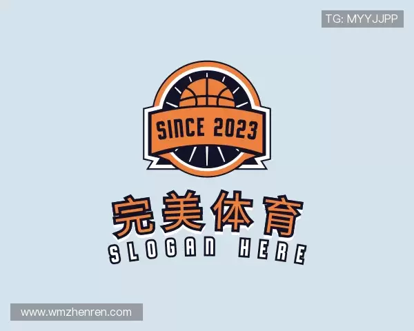 介绍完美体育